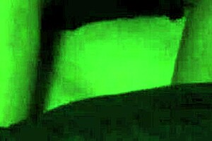 Amateur Video Capture Excites Viewers!