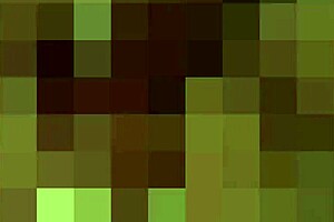 i've never sucked a mans cock like that before