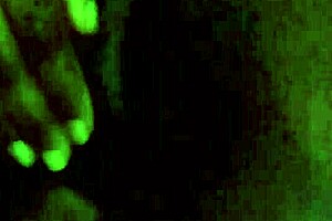 Esposa puta fudendo no motel com cliente