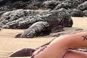 Hot african woman in bikini gets drawn