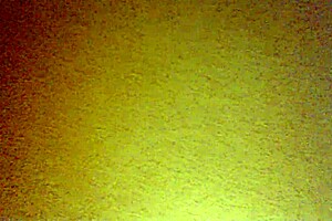 MEXICAN AMATEURS IN DOGGYSTYLE BENT OVER HARD