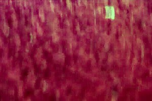 slutty asian wife intensely sucking cock in blowjob