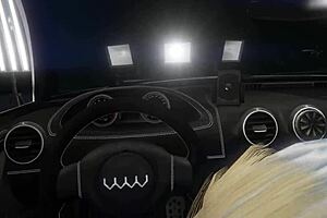 GTA 5 first-person hooker encounters sex in car