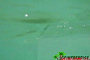 POV BAREBACK SEX WITH MY GIRLFRIEND AT THE HOTEL AND THE BEACH