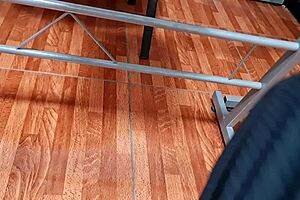 Nataly flashes her upskirt, hairs showing proudly