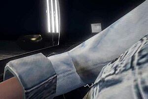 GTA 5 first-person hooker encounters sex in car