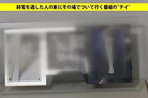 I sucked shaved asian's cock and squirted everywhere