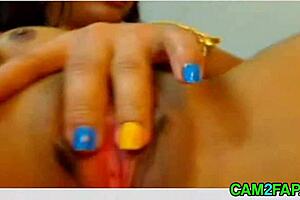 Dialogic-Provocative