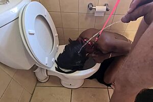 Damn, Indian whore gets pissed on in toilet and sucks dick after! 🚽