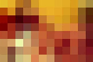 I Want You to Join in Our Tranny Orgy