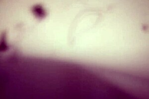 Feel the thrill as I stroke my hard fat dick for you