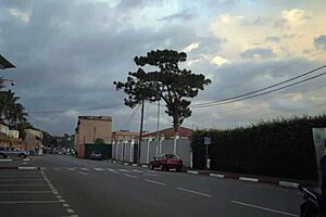 two lesbians lick and fuck each other