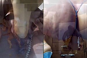 Compilation Of Best Moments From Latest Videos On Xvideos Red