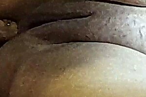 Naughty Brazilian Couple Pt 9 - Naughty Little 18+ Aunt