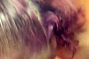 Tiny cock gets sucked by step mom Tina