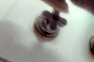 Masturbating With My Dildo In The Shower, Feeling So Good 😏