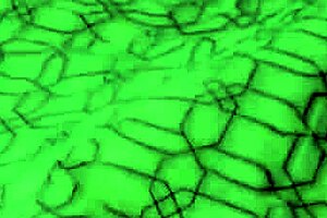 naughty wife riding hard