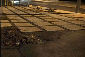 stranded teen 18+ gets roughly fucked outdoors in public bondage