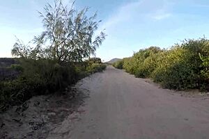 Public beach encounter for roadside assistance turns into steamy affair