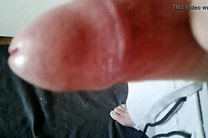 lisandro clerici and saltalamacchia explore european cultures