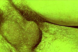 i watch vintage threesome with hairy babes