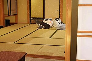 Lady Dimitrescu Found You 4K 3D Hentai Game Uncensored