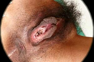 close up hairy pussy sex hd