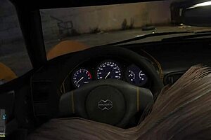 gta 5 hooker picked up for first-person car action