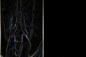 Perfect Tits And Booty In High Definition