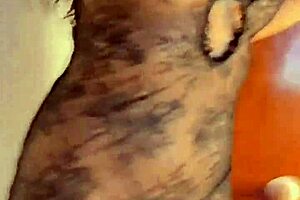 intense collection of real female orgasms from licking and masturbation