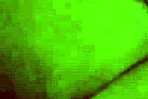 Dane jones petite 18+ french nymphomaniac megane lopez romantic hardcore sex and creampie with bent over, cowgirl, brunette, tits 😍