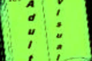 In Bound 10, the player gets tied up in an exciting adventure