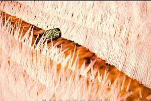 Tales From The Unending Void 37 Game Adventure