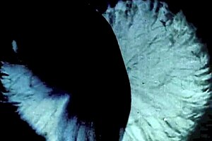 My Secret Life with Vintage English Erotic Tales