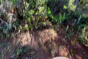 suggestive palhaça takes it in the ass outdoors