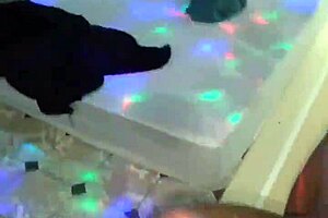 Gay Cruising Maconheiro Dotado Bareback