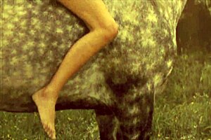 Beautiful natural tits and a hairy beaver in a classic Doggystyle scene