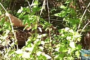 Oh, Watch That Horny European Babe Flash Her Nude Ass And Natural Tits In The Forest For Voyeurs!