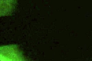 fucking my ex girlfriend with her big cock friend watching