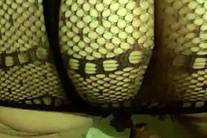 Wife gives blowjob and doggystyle