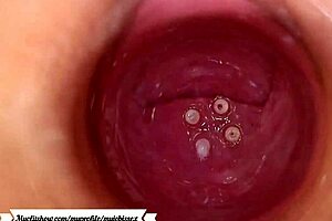 Camera Explores Vagina, Anal, and Assfucking with Masturbation