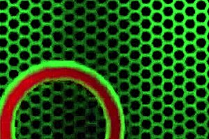 i watch tattooed blonde vyxen steele suck and fuck alex legends huge cock