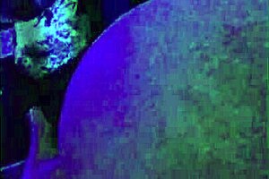 naughty amateur action with latinas in lingerie 😘