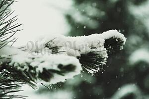 Perchta moans, Bend over for doggystyle in the Alps