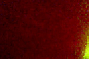 tattooed girl takes big cock in pussy during home pov session