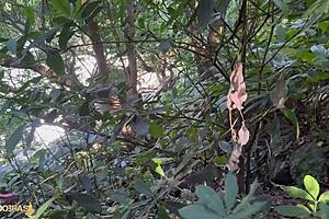 I took to the mischief