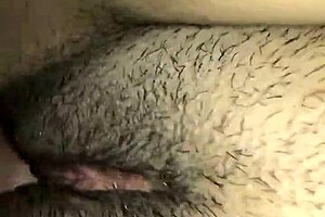 hook up with curvy latina neighbor for steamy fun