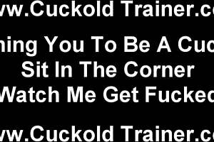 One Cock Isn’t Enough to Satisfy My Wild Desires