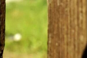 neighbors spy on flashing big tits in summer outdoor fun