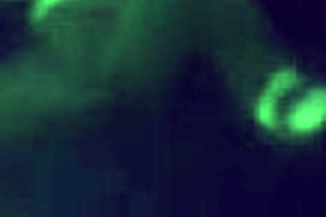 Nobunaga-sensei anime babe sucks big tits in hentai